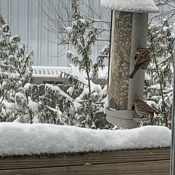 Hi, I’m Arka Deo. Thank you for stopping by. - Picture 9 of 10